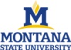 Montana State University